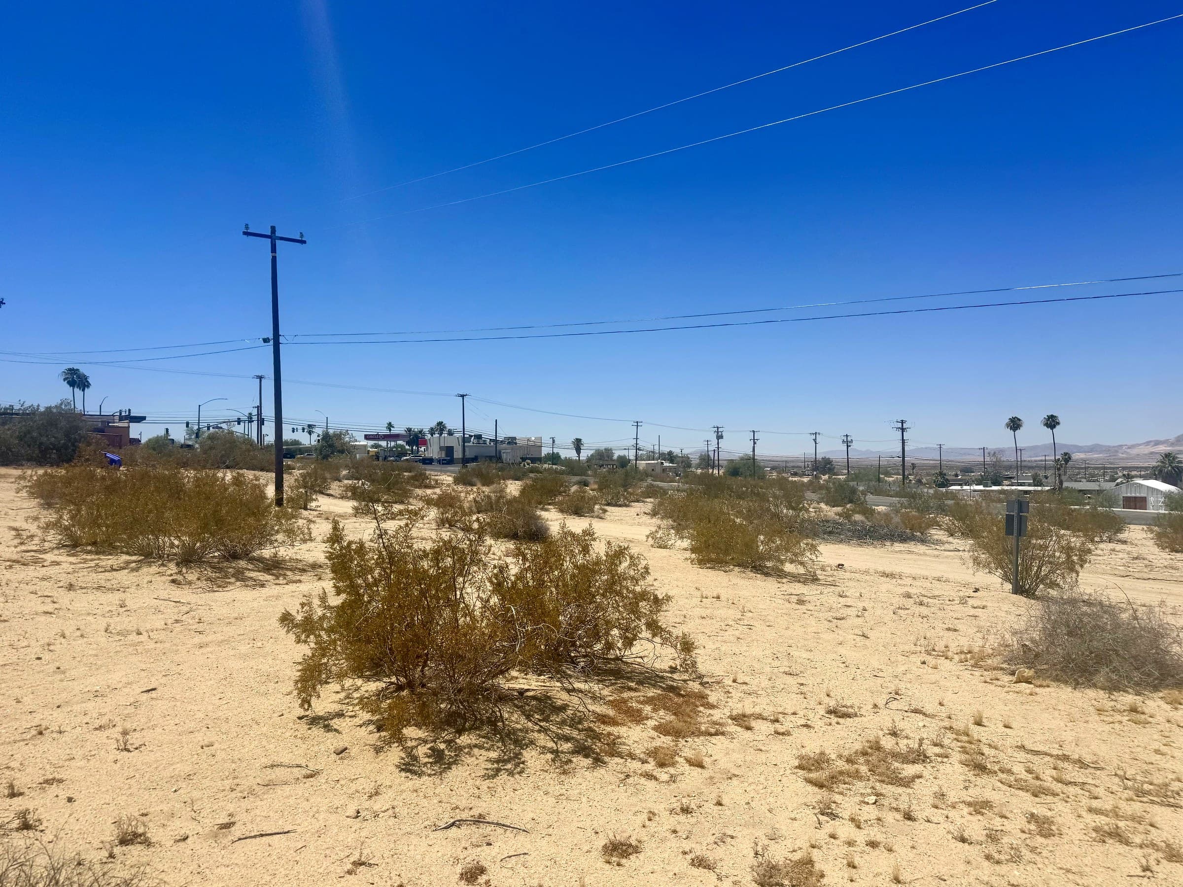 Palo Verde Trail, Twentynine Palms