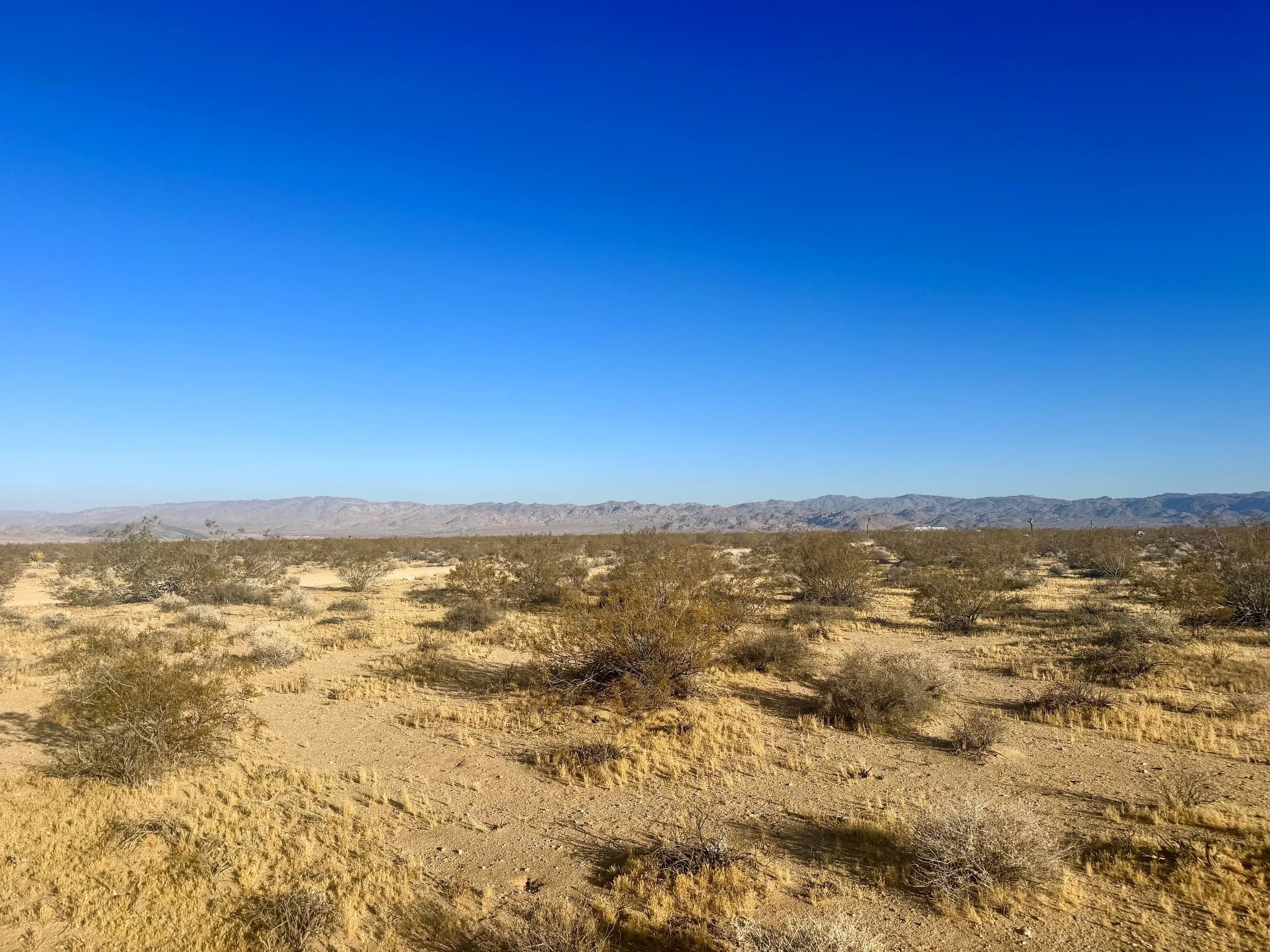 McGarey Road, Joshua Tree