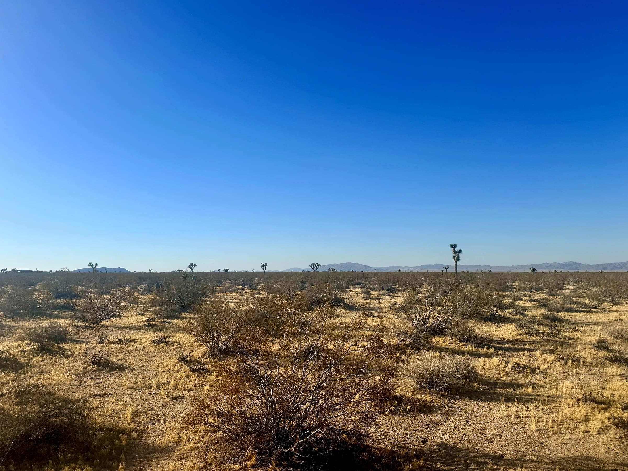 McGarey Road, photo 4