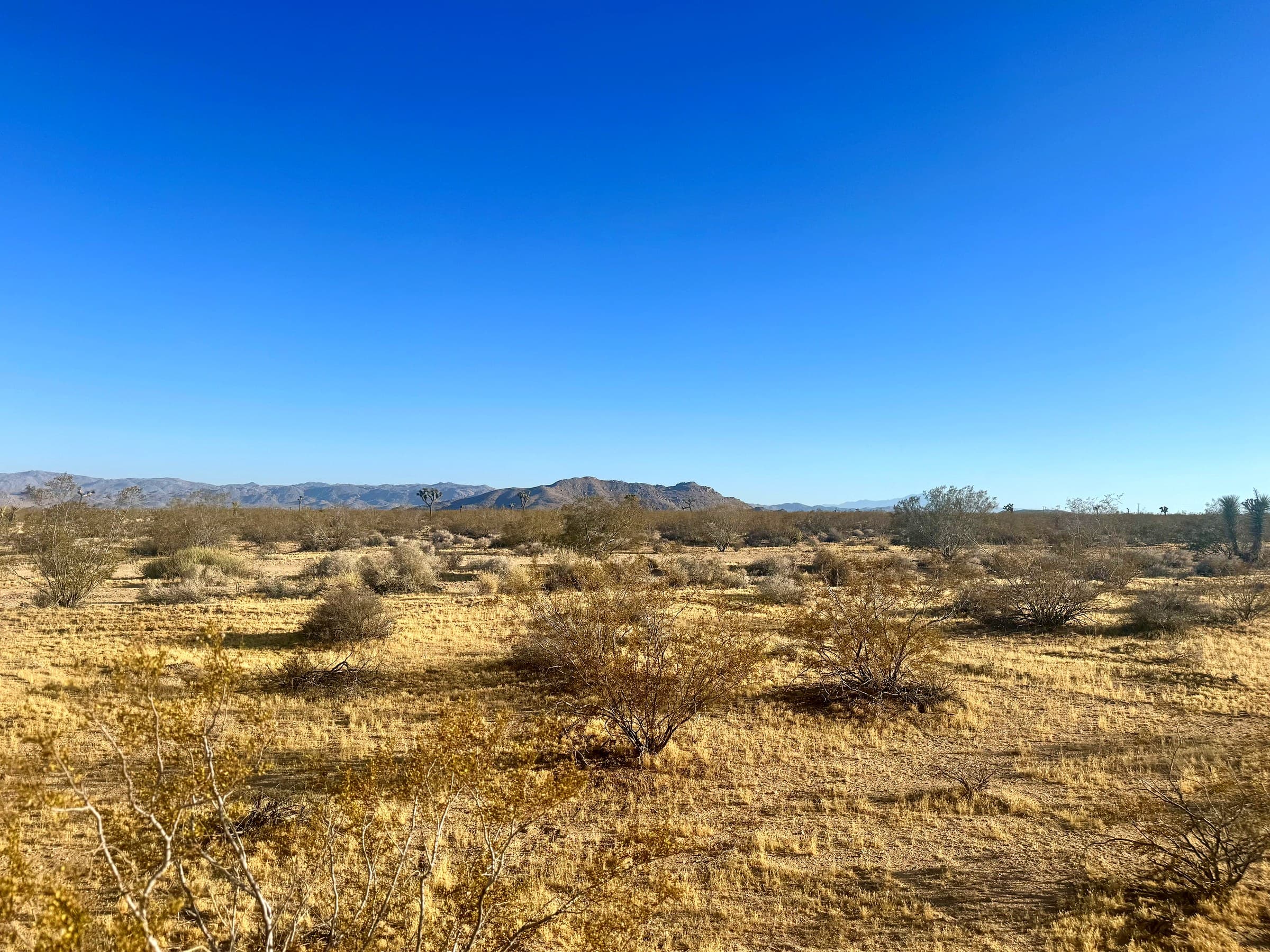 McGarey Road, photo 5