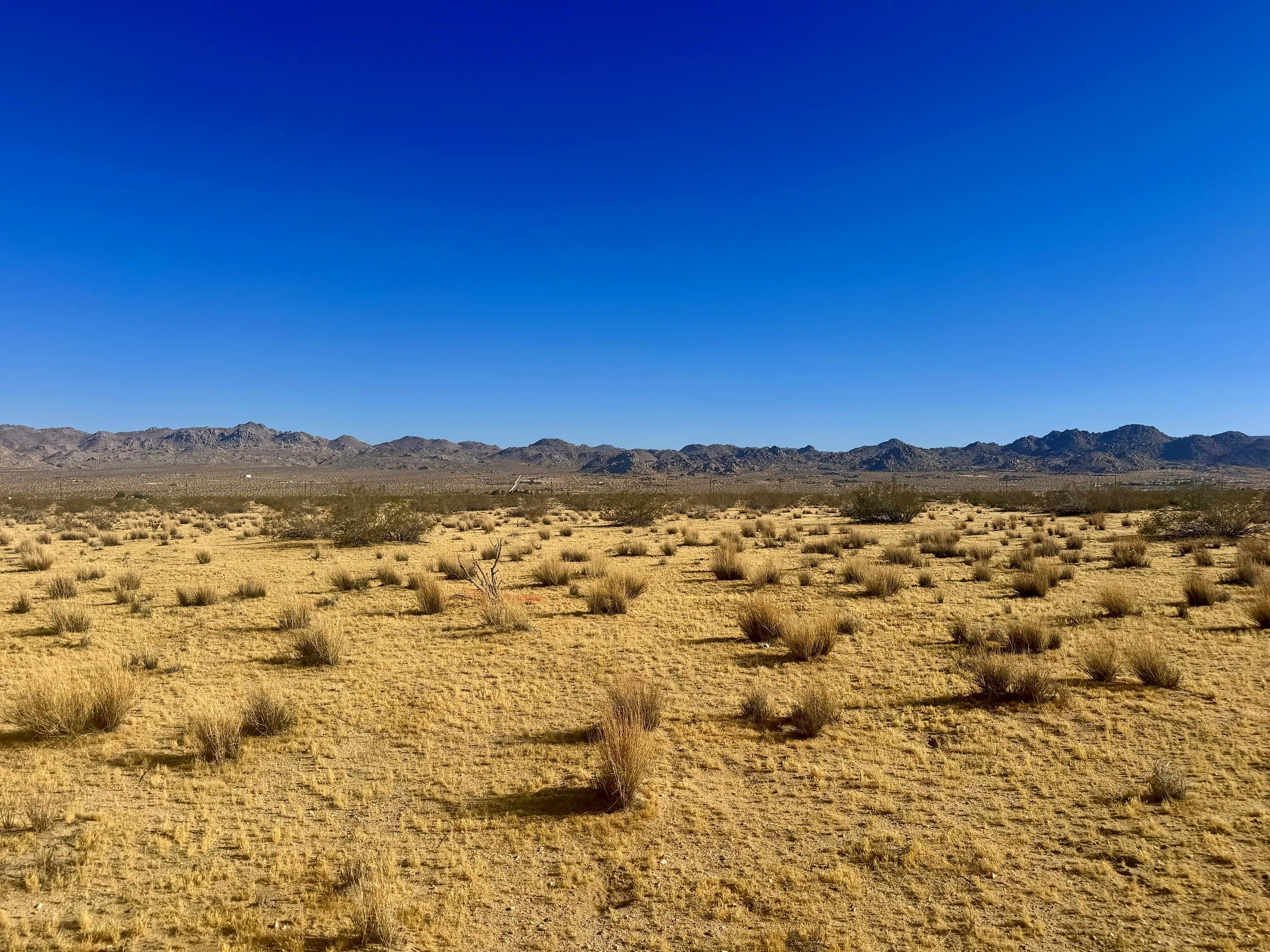 Gold Nugget Road, Joshua Tree