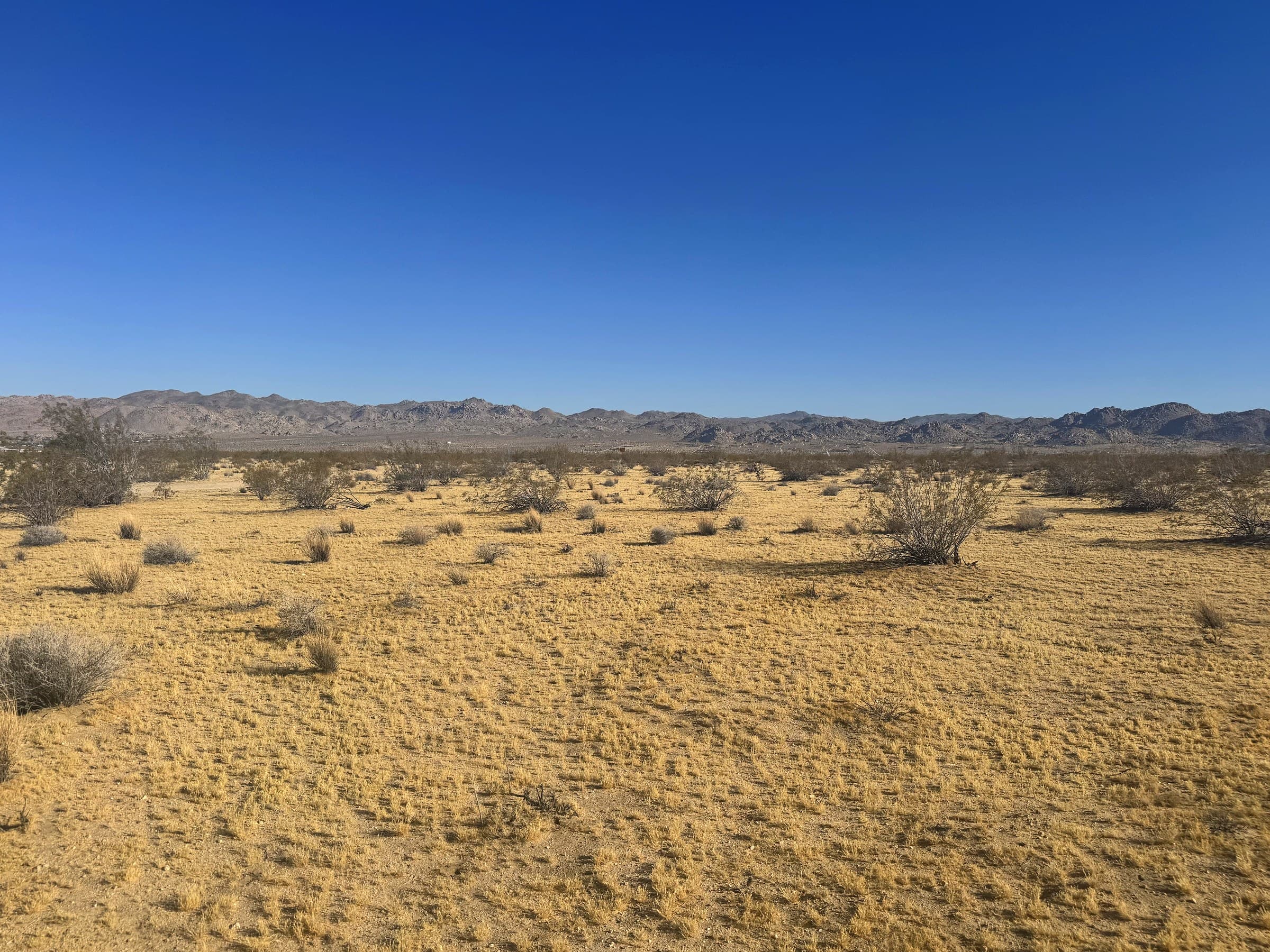 Sunever Ave., Joshua Tree