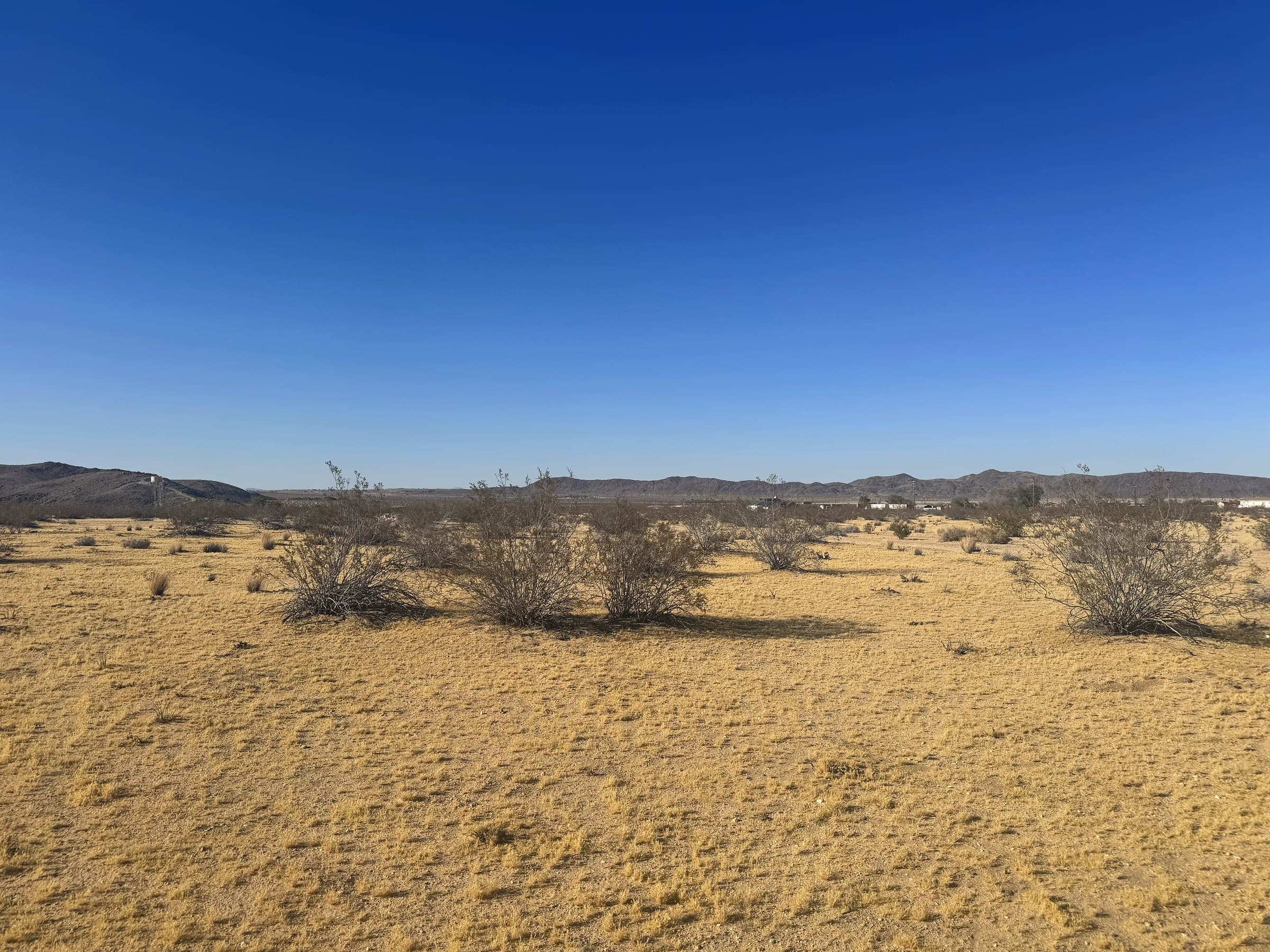 Sunever Ave., photo 4