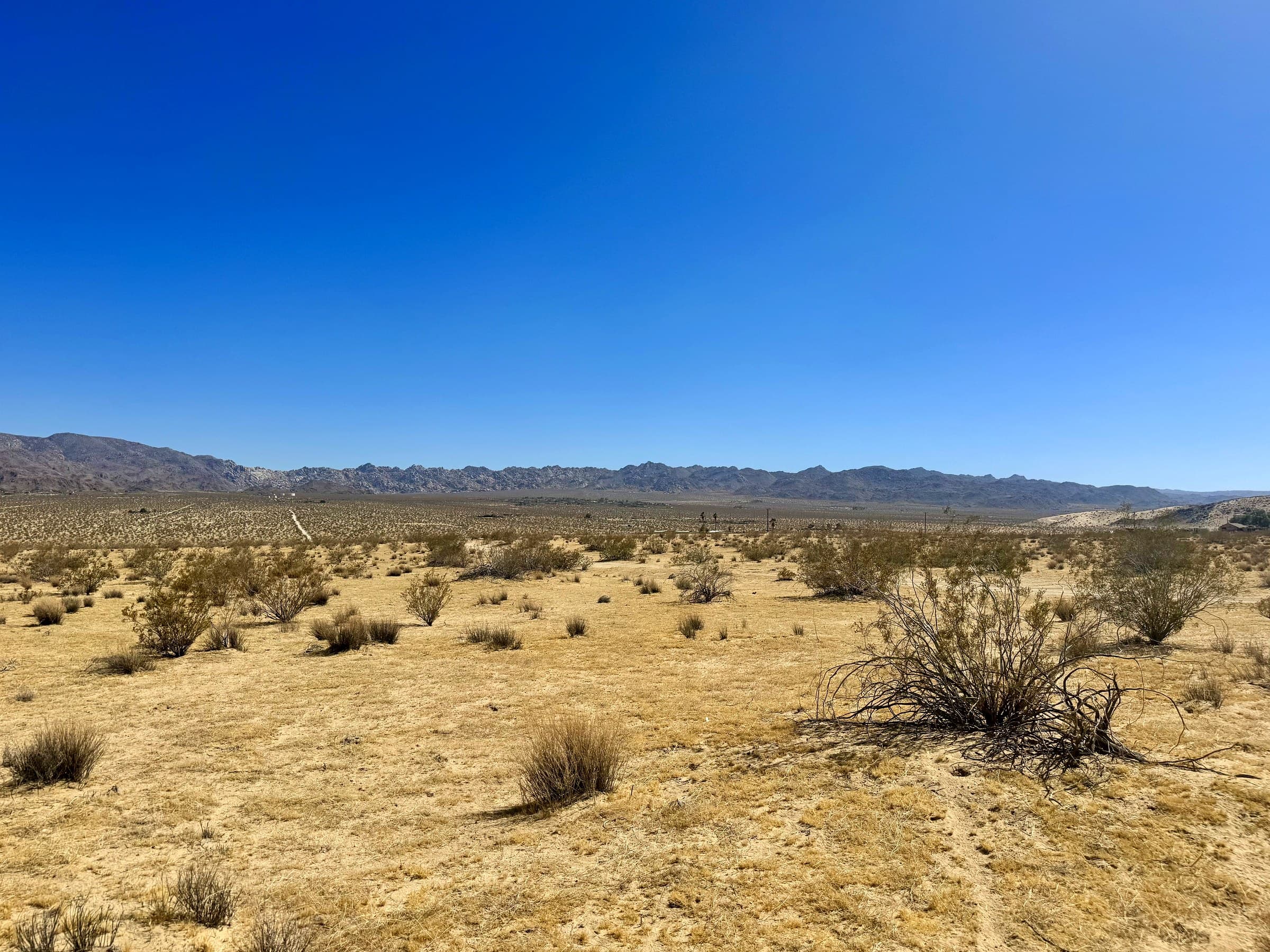 Shoshone Valley Rd., photo 2