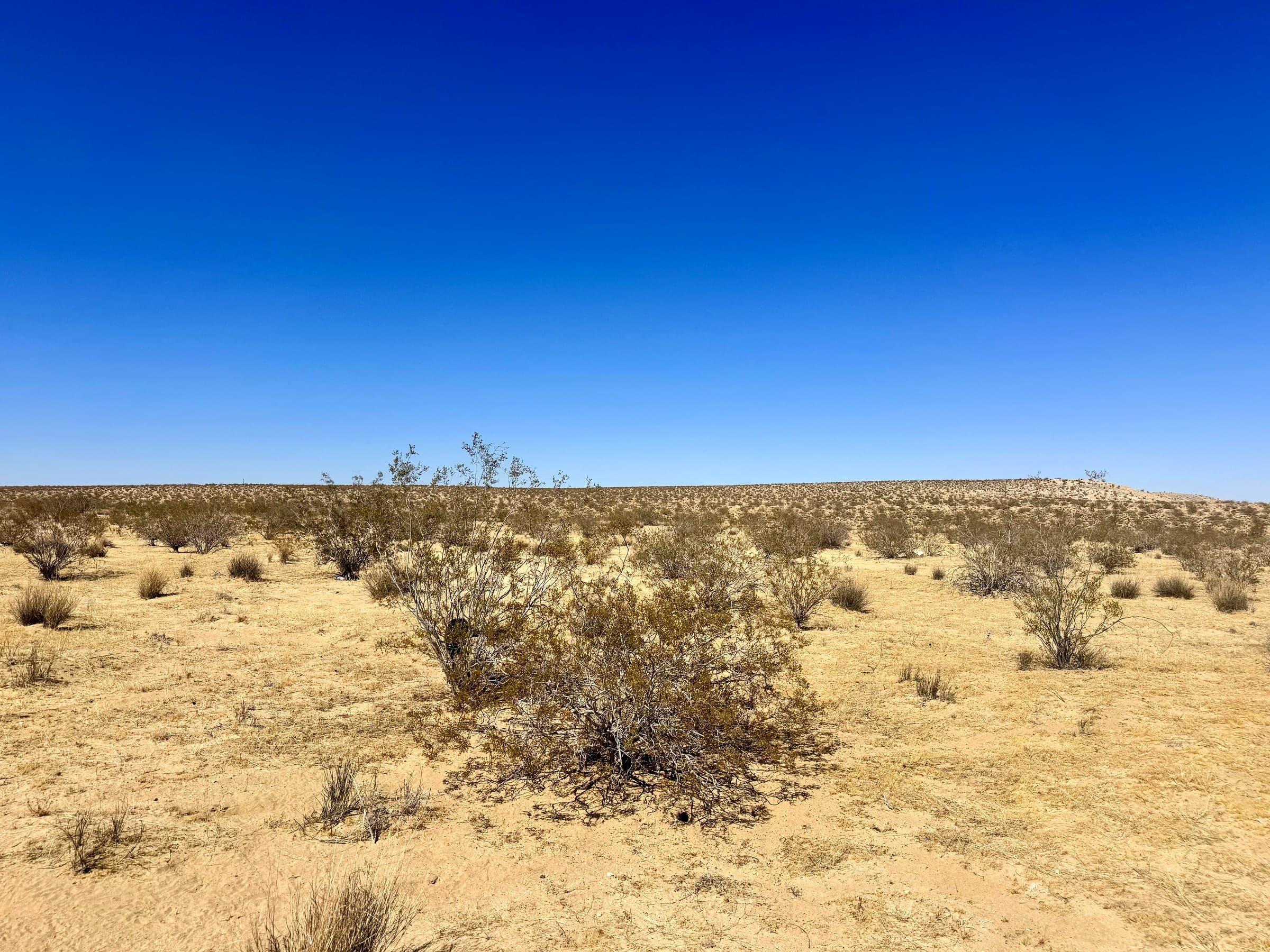 Shoshone Valley Rd., photo 4