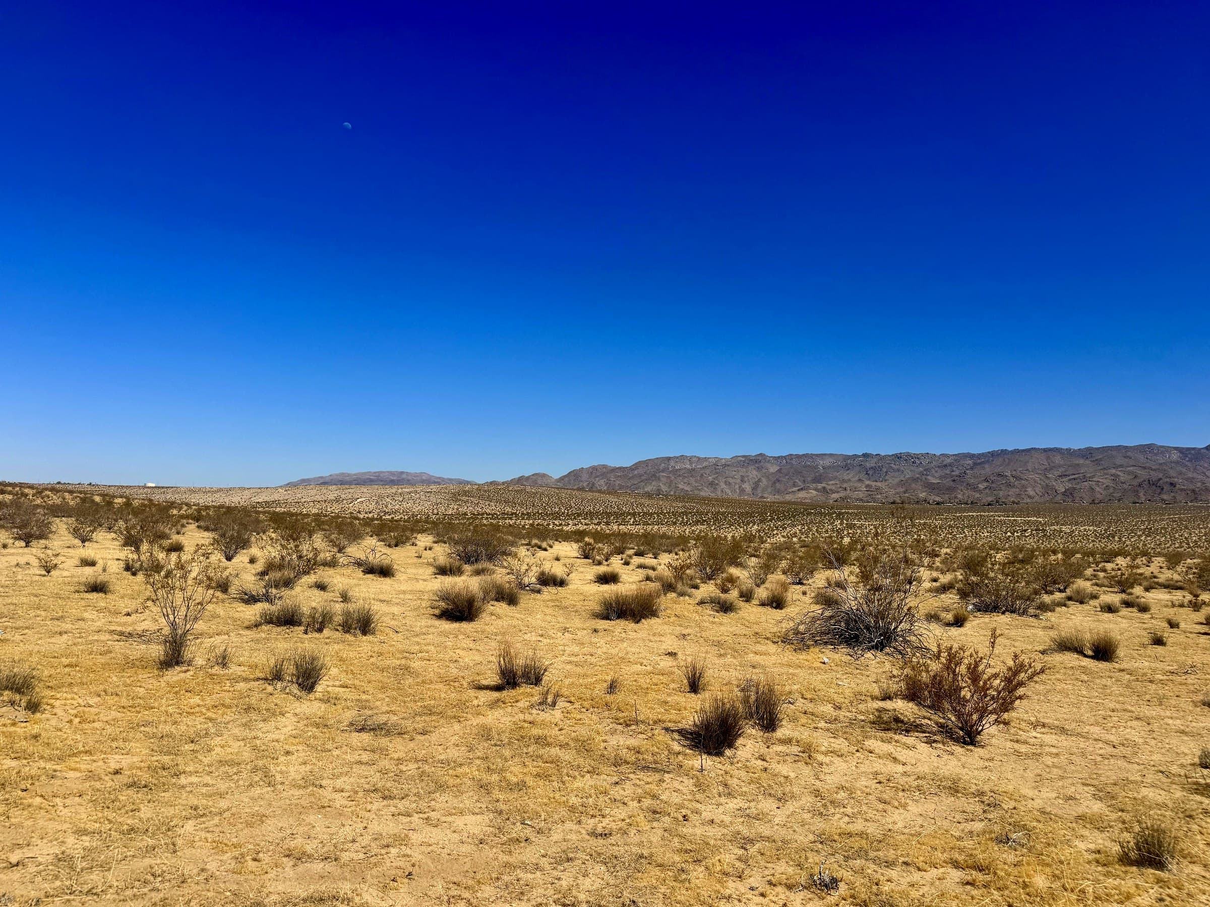 Shoshone Valley Rd., photo 6