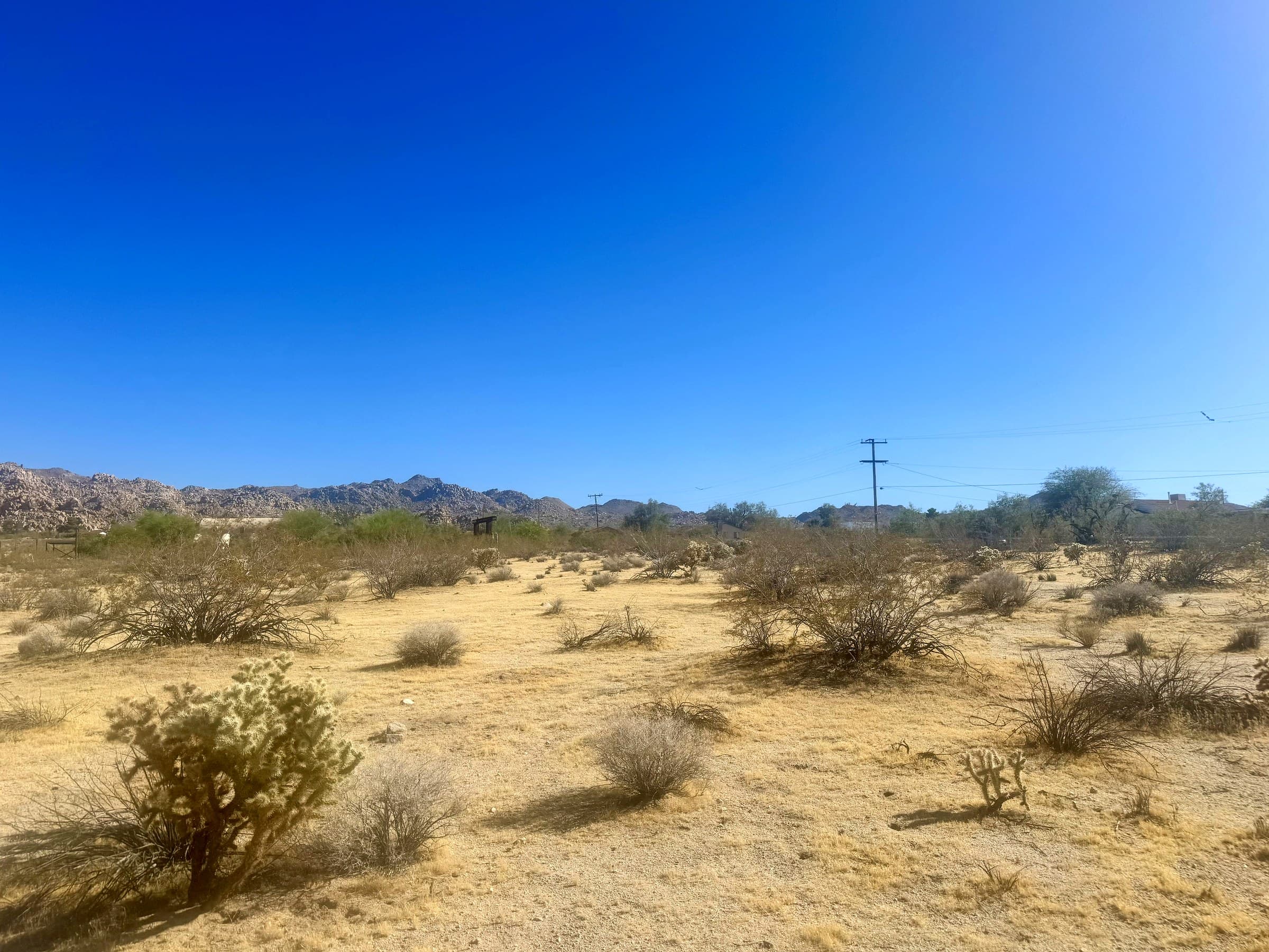 Mt. Lassen Ave., Joshua Tree