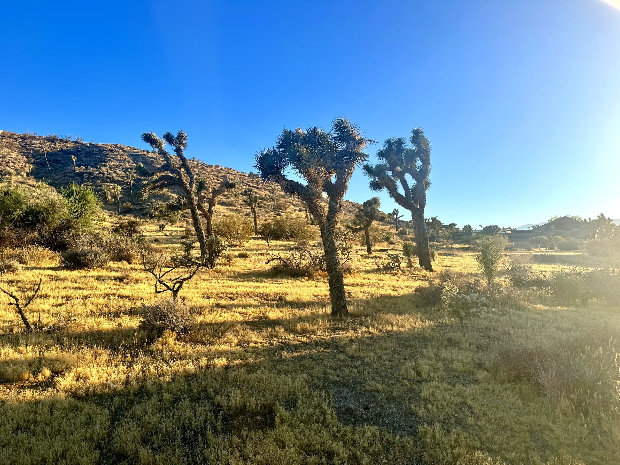 57981 Sierra Vista Drive, photo 3