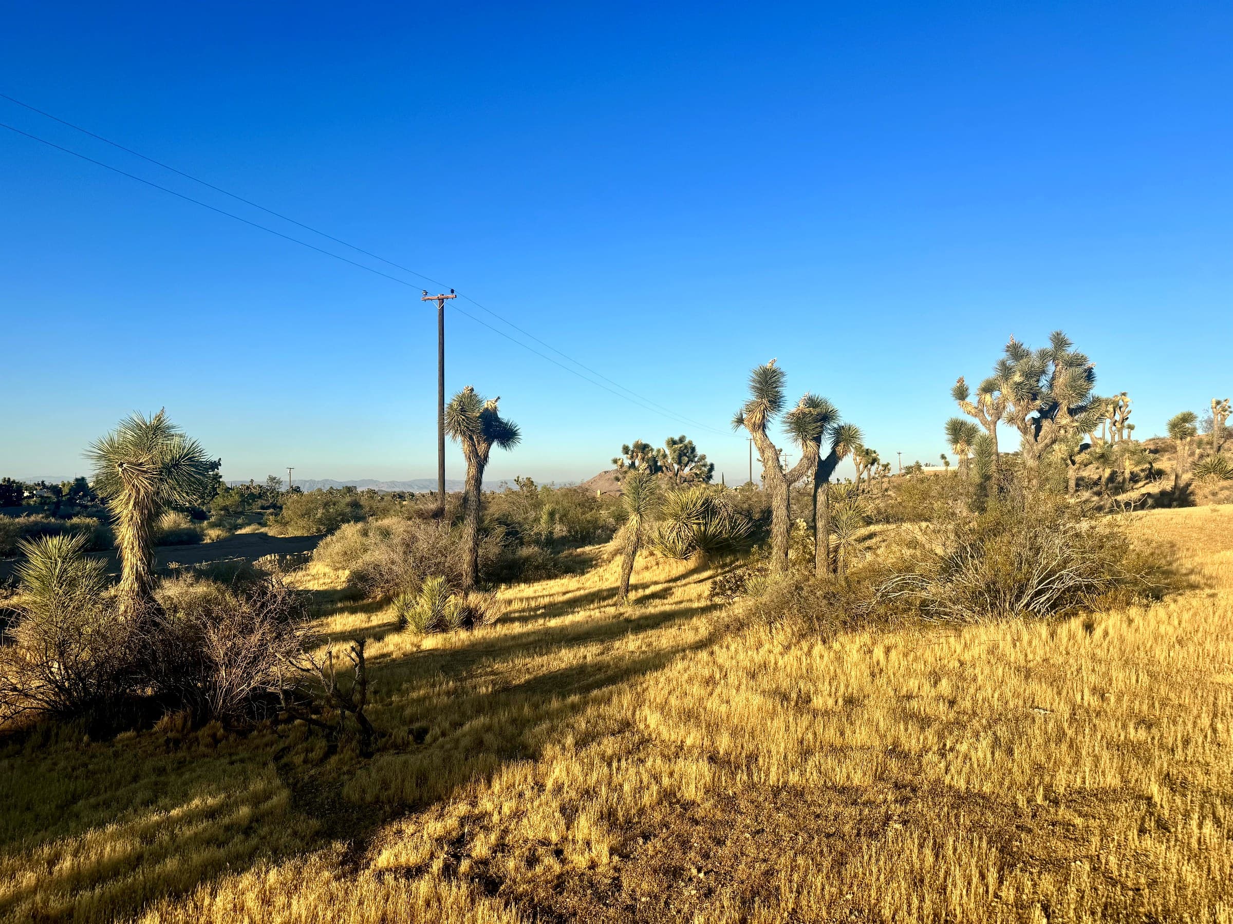 57981 Sierra Vista Drive, photo 4