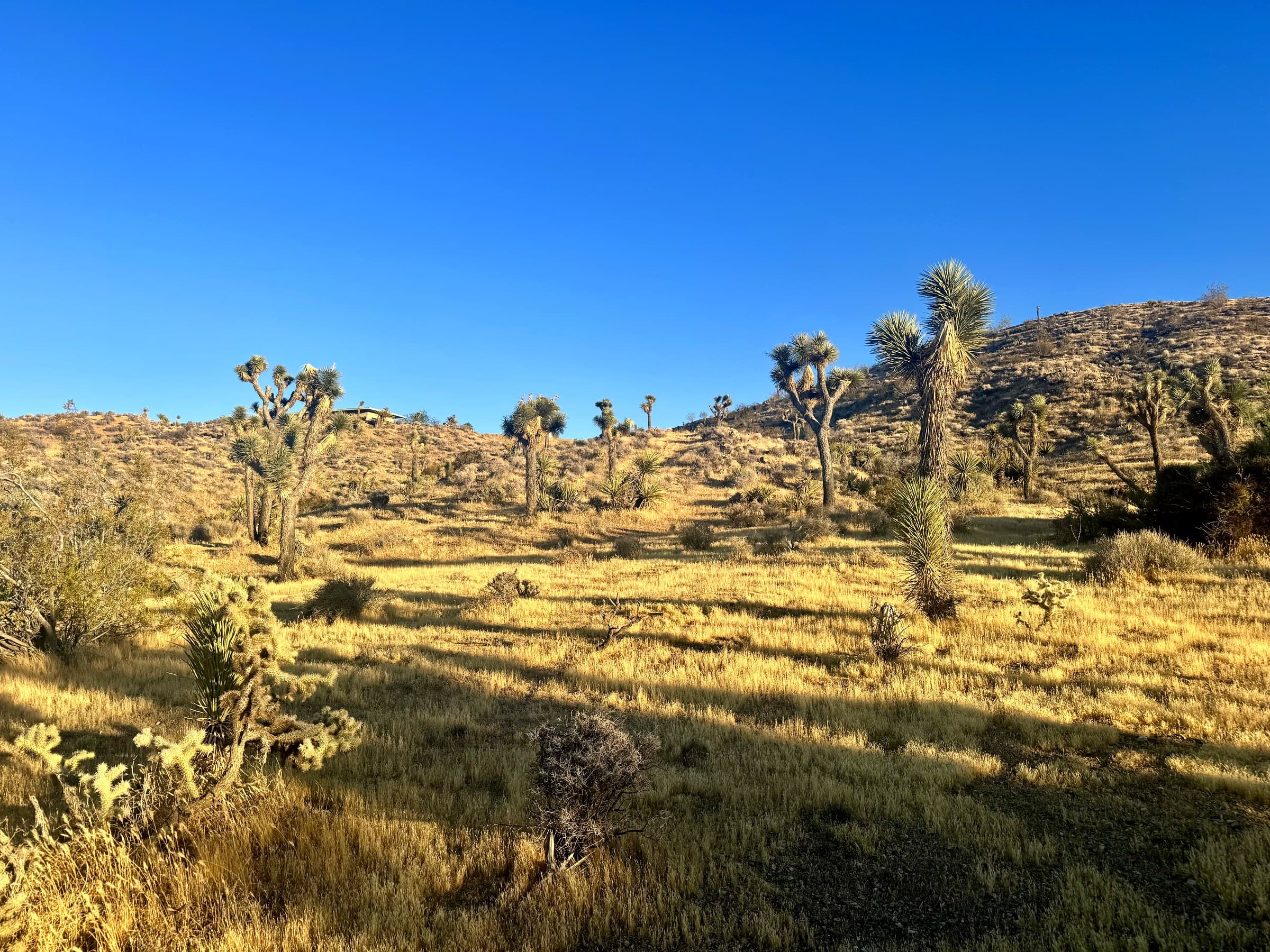 57981 Sierra Vista Drive, photo 5
