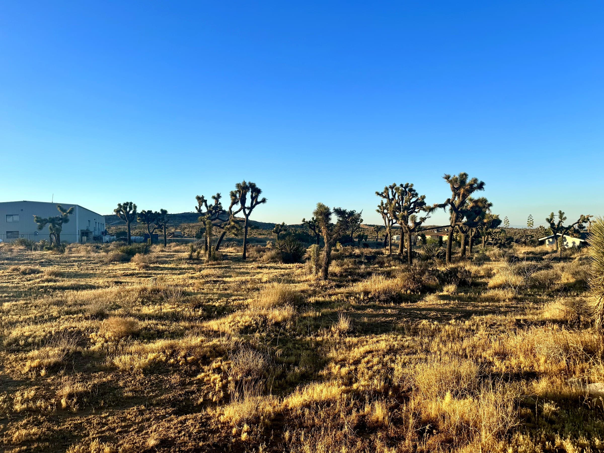 56980 Buena Vista Drive, Yucca Valley
