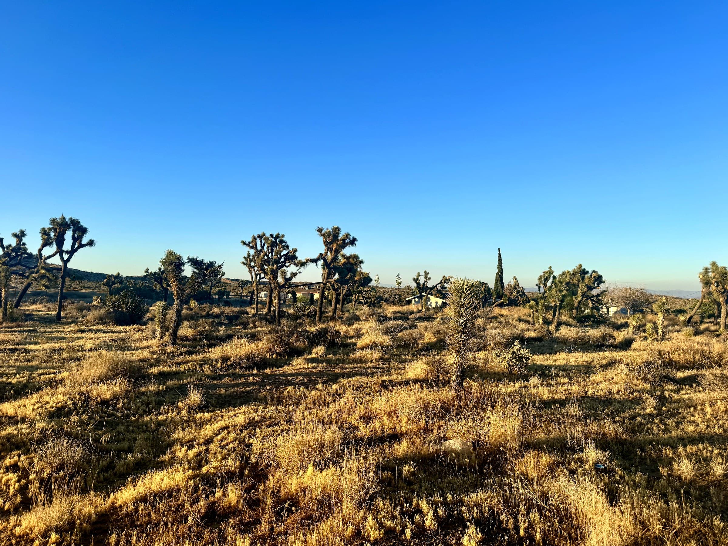 56980 Buena Vista Drive, photo 2