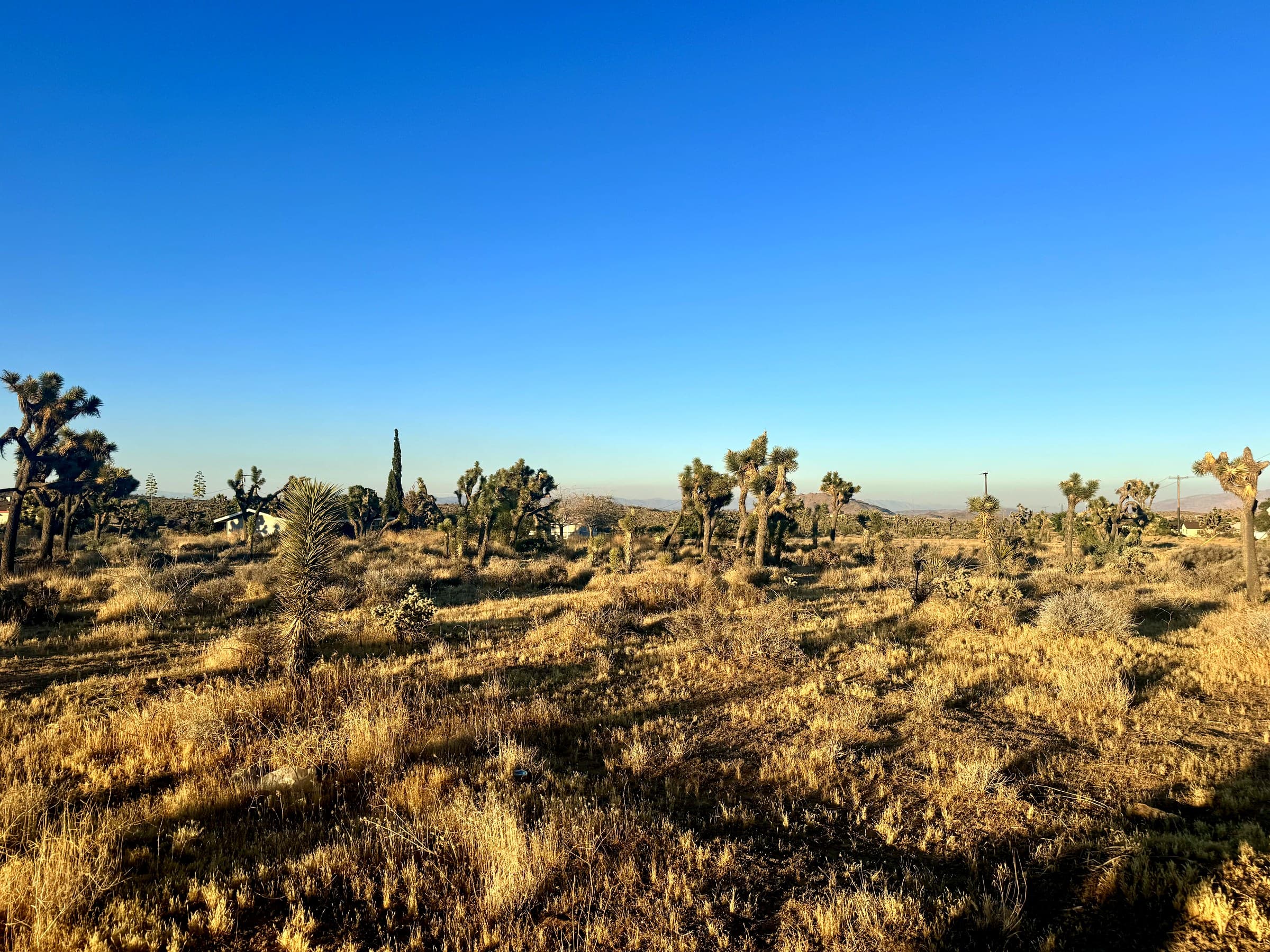 56980 Buena Vista Drive, photo 3