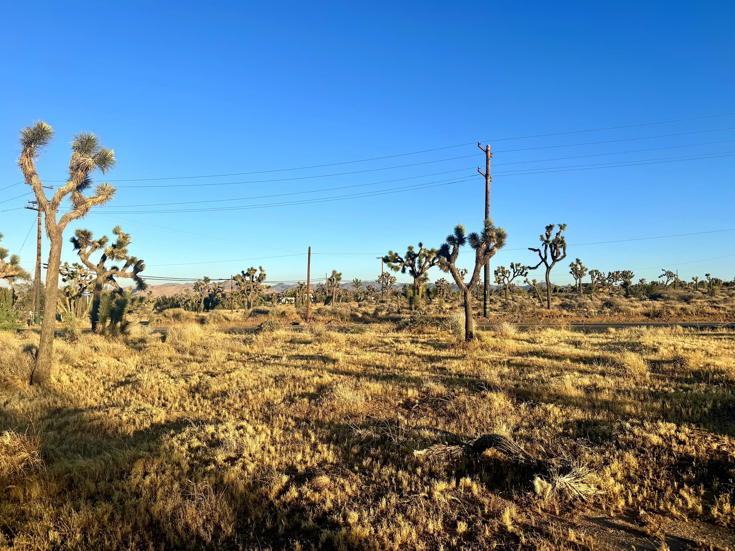 56980 Buena Vista Drive, photo 4