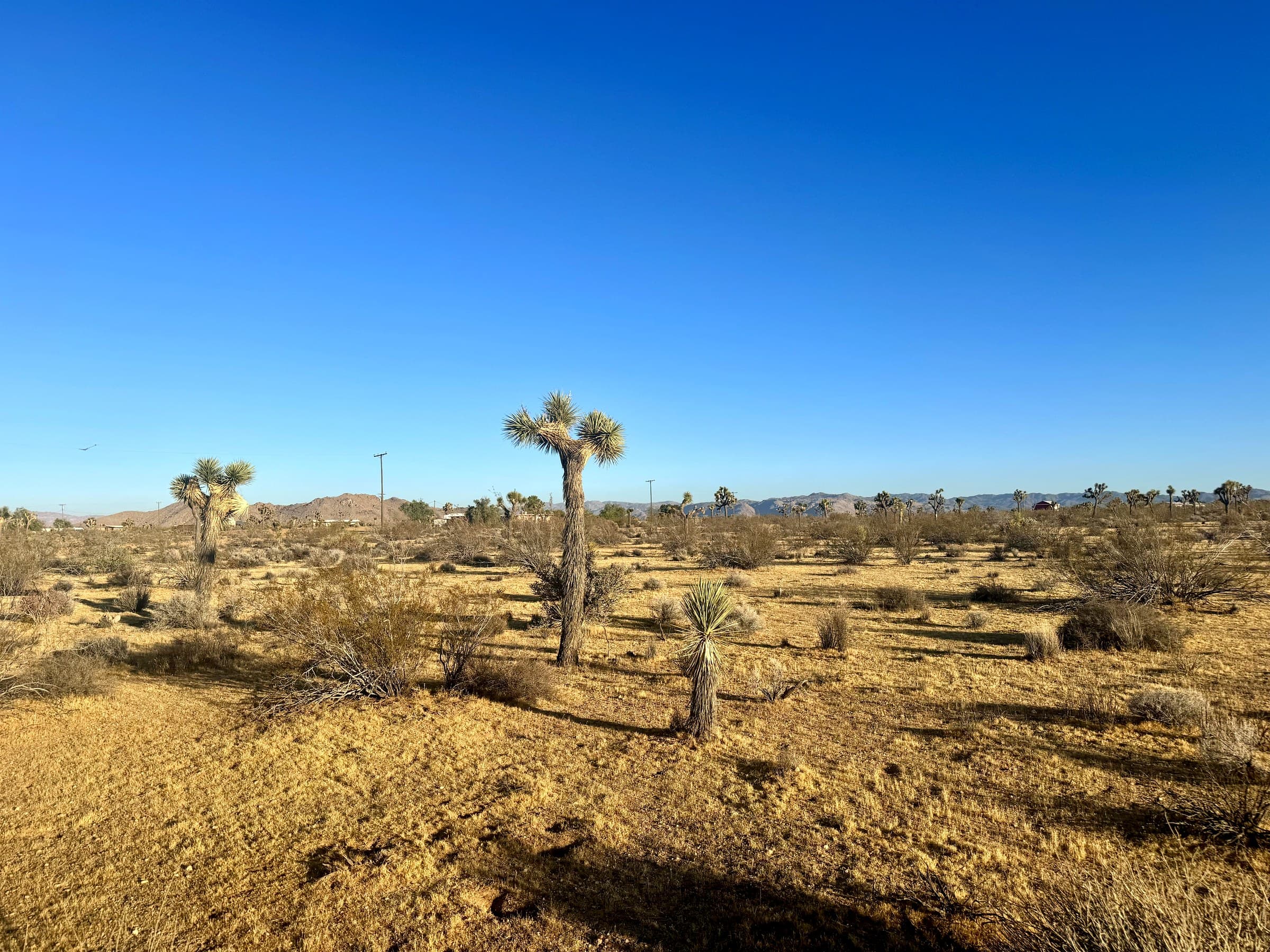 2814 Yucca Mesa Rd., photo 2