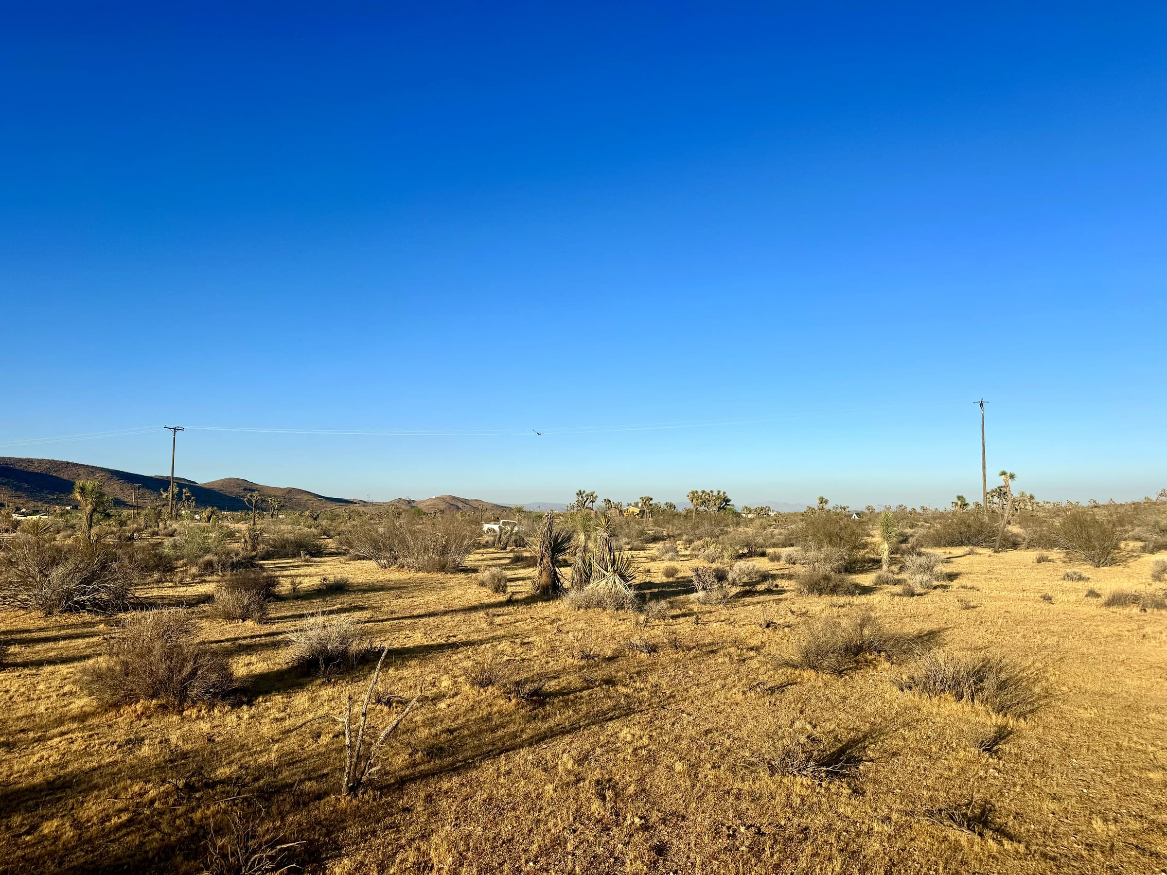 2814 Yucca Mesa Rd., photo 3