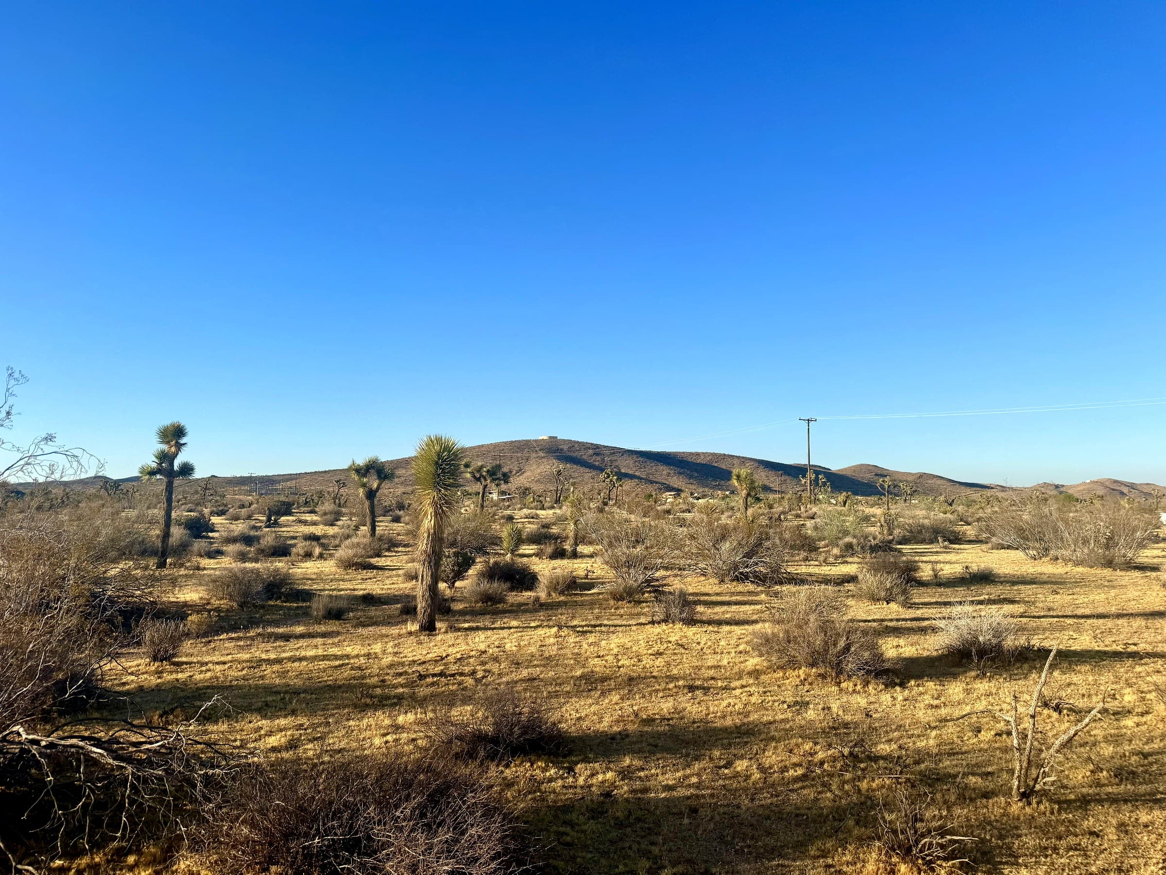 2814 Yucca Mesa Rd., photo 5